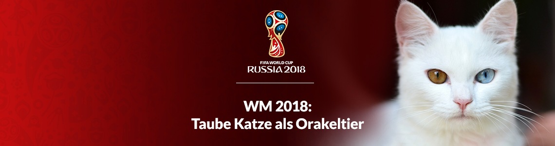 Taube Katze - WM-Orakel